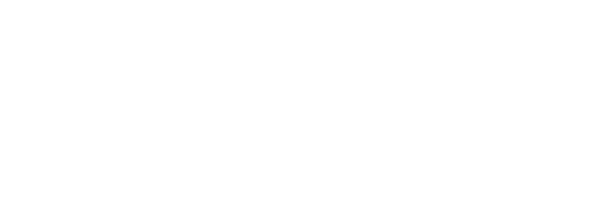 Funatics Fitness logo
